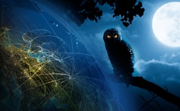 What Keeps You up At Night? - Neuer KnowBe4 Report über die Sorgen und Ängste deutscher IT-Entscheider