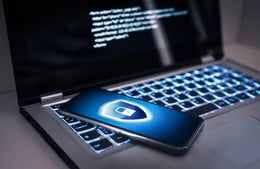 Achtung vor betrügerischen Roborock-Händlern: Die Gefahr hinter irreführenden URLs im E-Commerce